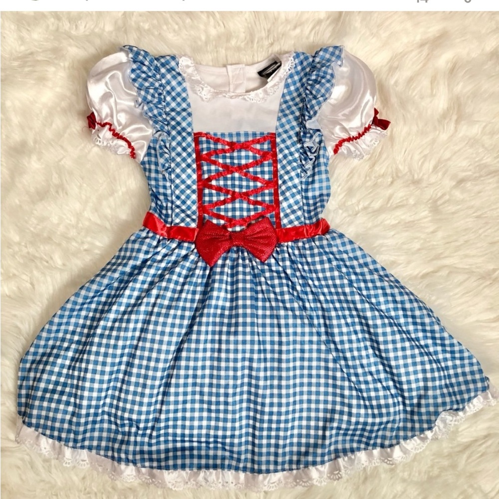 Wizard of Oz Dorothy Dress Up Halloween Costume Blue White Checkerd Dress Youth